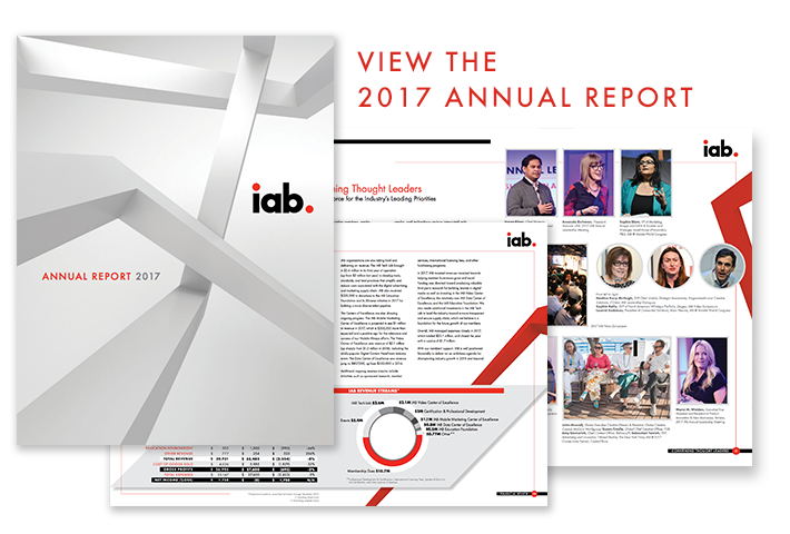 2017 IAB Annual Report