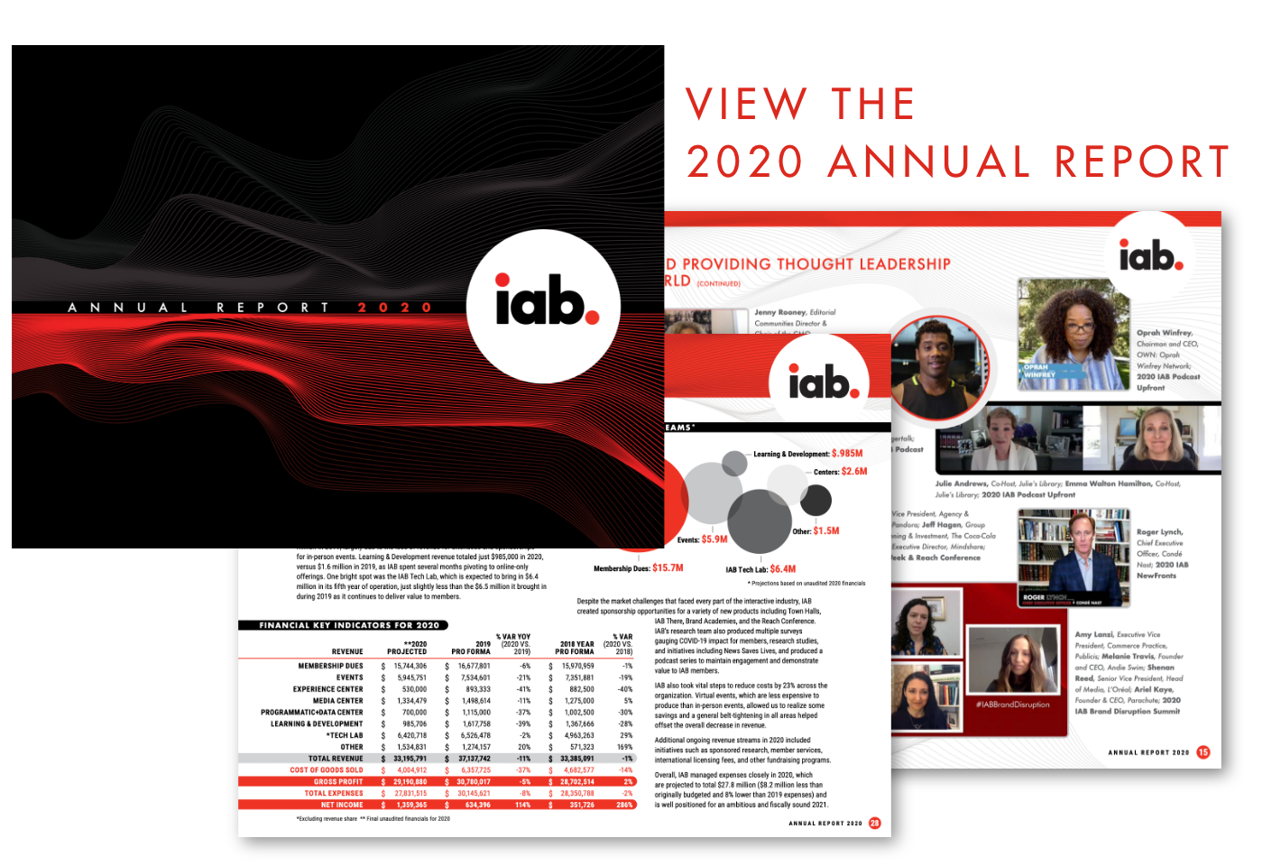 2020 IAB Annual Report