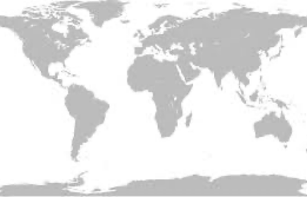 IAB全球网络：全球成员