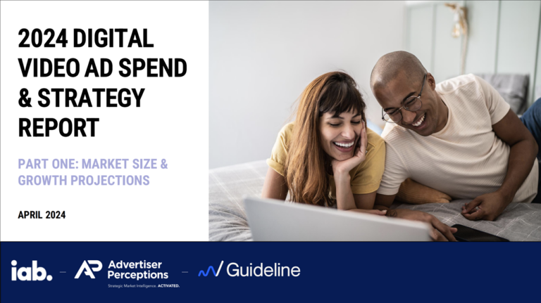2024 Digital Video Ad Spend &#038; Strategy Report