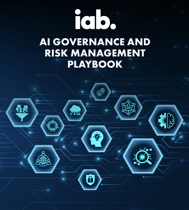 AI Governance and Risk Management Playbook